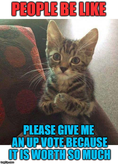 image tagged in cats | made w/ Imgflip meme maker