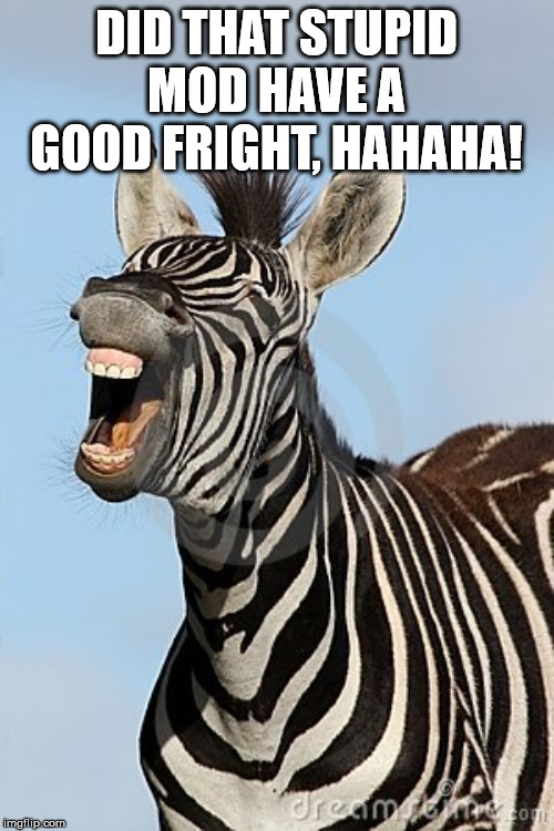 Laughing Zebra | DID THAT STUPID MOD HAVE A GOOD FRIGHT, HAHAHA! | image tagged in laughing zebra | made w/ Imgflip meme maker