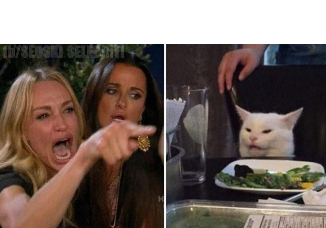 High Quality Woman yelling at a cat Blank Meme Template