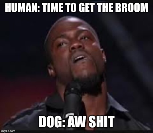 Kevin Hart | HUMAN: TIME TO GET THE BROOM; DOG: AW SHIT | image tagged in kevin hart | made w/ Imgflip meme maker
