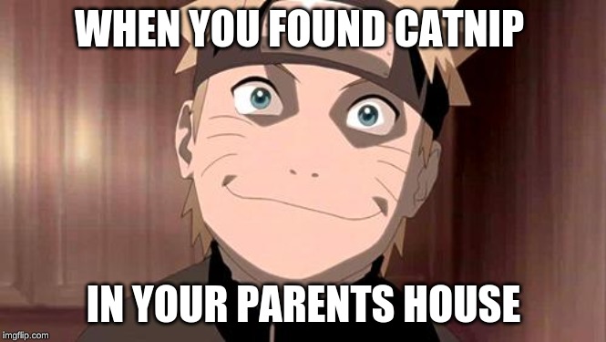 Naruto | WHEN YOU FOUND CATNIP; IN YOUR PARENTS HOUSE | image tagged in naruto | made w/ Imgflip meme maker