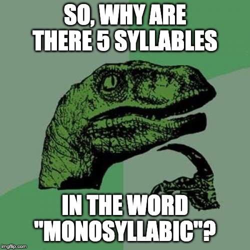 Philosoraptor Meme | SO, WHY ARE THERE 5 SYLLABLES; IN THE WORD "MONOSYLLABIC"? | image tagged in memes,philosoraptor | made w/ Imgflip meme maker