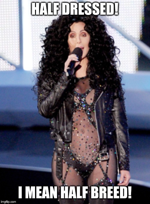 Cher  | HALF DRESSED! I MEAN HALF BREED! | image tagged in cher | made w/ Imgflip meme maker