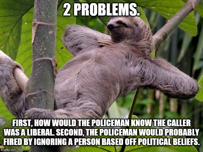 Lazy Sloth | 2 PROBLEMS. FIRST, HOW WOULD THE POLICEMAN KNOW THE CALLER WAS A LIBERAL. SECOND, THE POLICEMAN WOULD PROBABLY FIRED BY IGNORING A PERSON BA | image tagged in lazy sloth | made w/ Imgflip meme maker