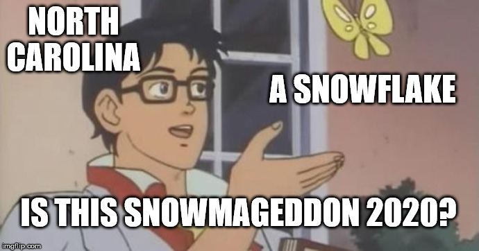 Better get yer milk, bread and pork rinds together ... | NORTH CAROLINA; A SNOWFLAKE; IS THIS SNOWMAGEDDON 2020? | image tagged in is this a pigeon,snow,north carolina,snowflake,2020 | made w/ Imgflip meme maker