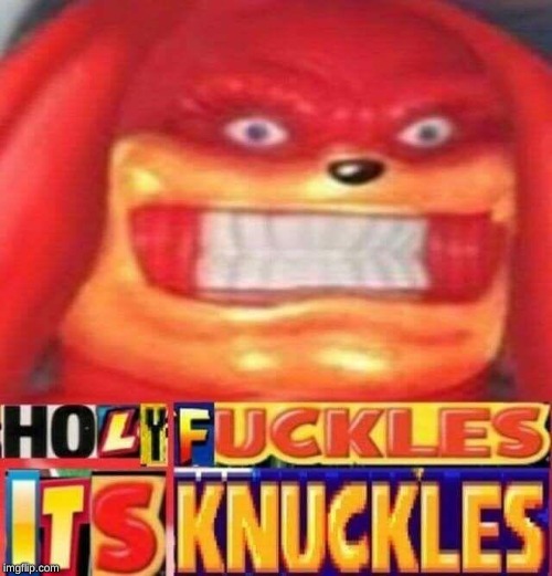 Holy fuckles it's knuckles | image tagged in holy fuckles it's knuckles | made w/ Imgflip meme maker