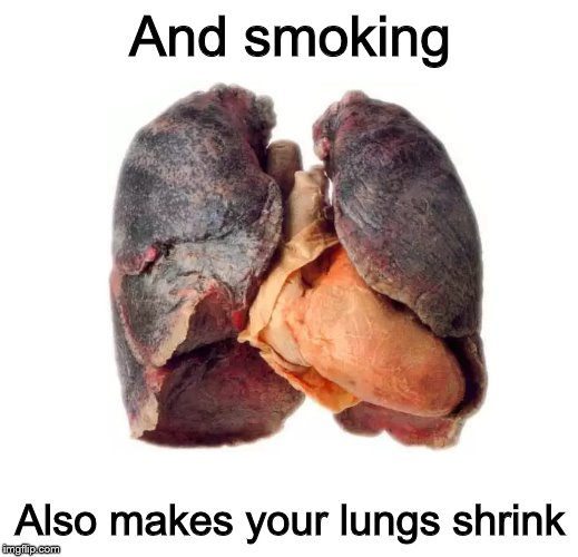 Smoker sick unhealthy lungs | And smoking Also makes your lungs shrink | image tagged in smoker sick unhealthy lungs | made w/ Imgflip meme maker