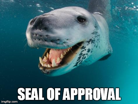 image tagged in funny,seal,animals,puns | made w/ Imgflip meme maker