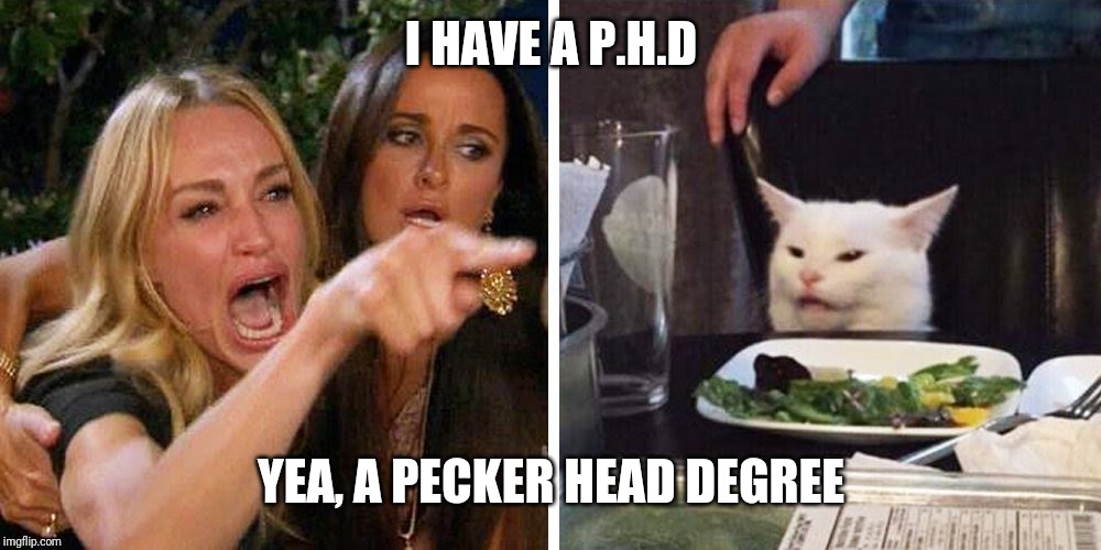 Smudge the cat | I HAVE A P.H.D; YEA, A PECKER HEAD DEGREE | image tagged in smudge the cat | made w/ Imgflip meme maker