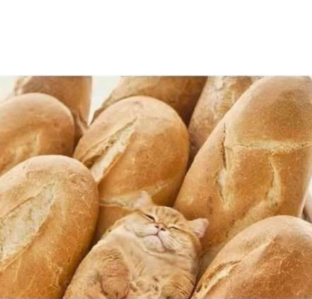 High Quality Bread Blank Meme Template