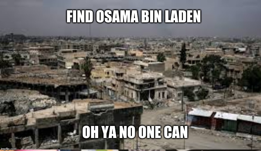 hide and seek hardcore | FIND OSAMA BIN LADEN; OH YA NO ONE CAN | image tagged in memes | made w/ Imgflip meme maker