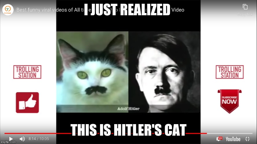 I was just watching a video when I saw this | I JUST REALIZED; THIS IS HITLER'S CAT | image tagged in when you realize | made w/ Imgflip meme maker