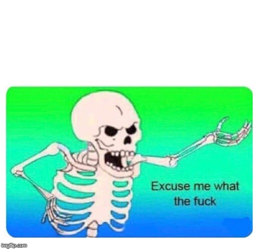 EXCUSE ME WHAT THE FUCK SKELETON WTF | image tagged in excuse me what the fuck skeleton wtf | made w/ Imgflip meme maker