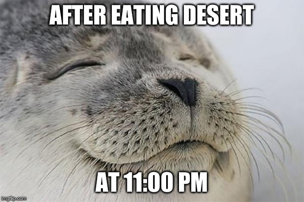 Satisfied Seal | AFTER EATING DESERT; AT 11:00 PM | image tagged in memes,satisfied seal | made w/ Imgflip meme maker