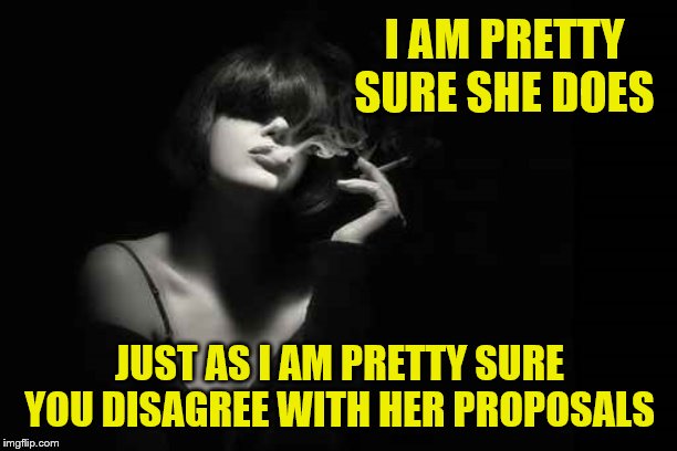 I AM PRETTY SURE SHE DOES JUST AS I AM PRETTY SURE YOU DISAGREE WITH HER PROPOSALS | made w/ Imgflip meme maker