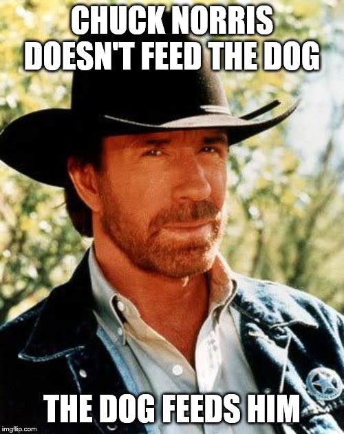 Chuck Norris Meme | CHUCK NORRIS DOESN'T FEED THE DOG; THE DOG FEEDS HIM | image tagged in memes,chuck norris | made w/ Imgflip meme maker