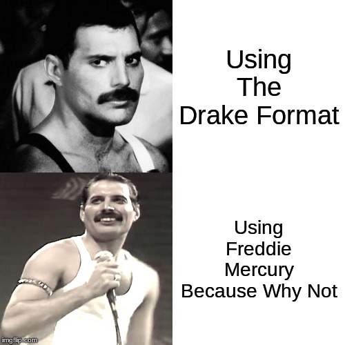 I'm not sure if this has been done yet, but here it it anyway | Using The Drake Format; Using Freddie Mercury Because Why Not | image tagged in queen,why not | made w/ Imgflip meme maker