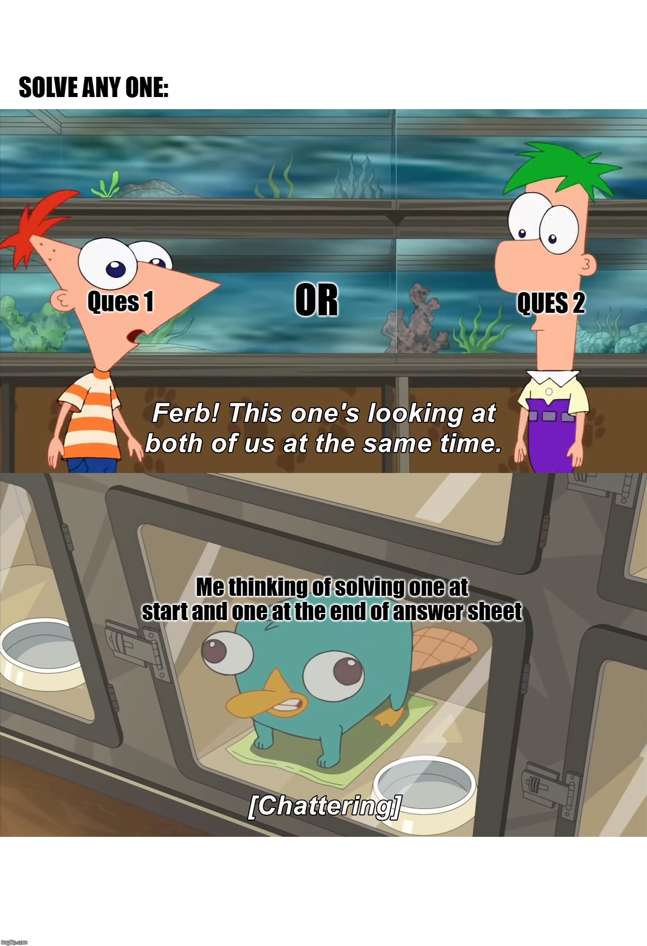 phineas and ferb | SOLVE ANY ONE:; OR; QUES 2; Ques 1; Me thinking of solving one at start and one at the end of answer sheet | image tagged in phineas and ferb | made w/ Imgflip meme maker