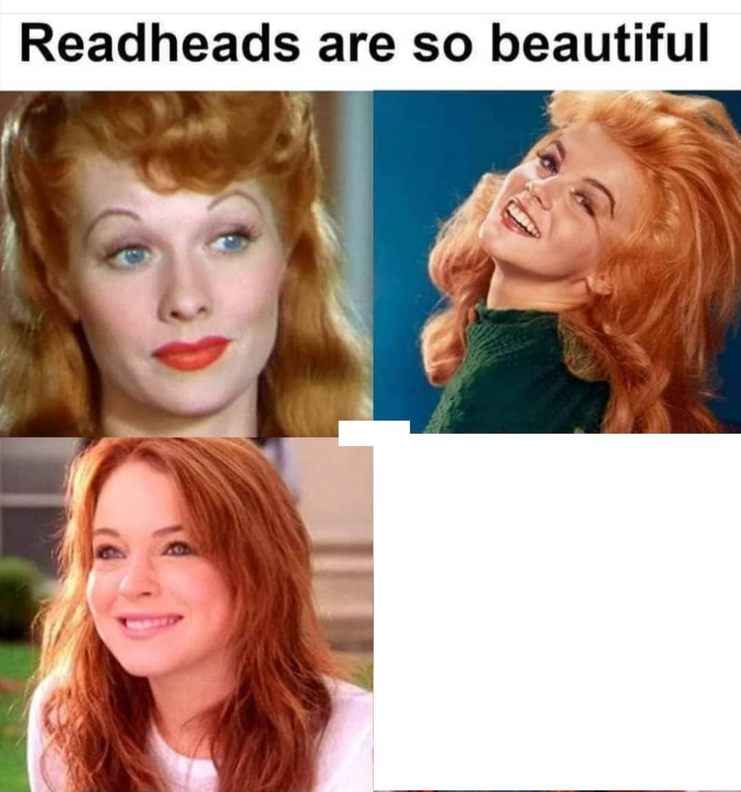 Redheads are so beautiful Blank Meme Template