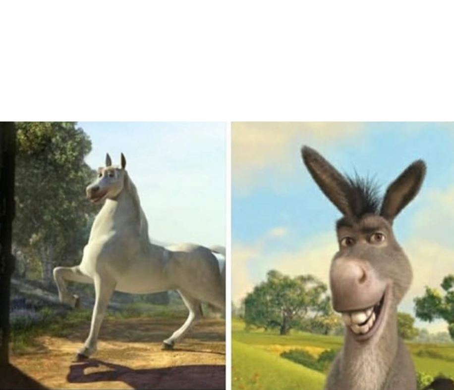 Donkey Blank Meme Template