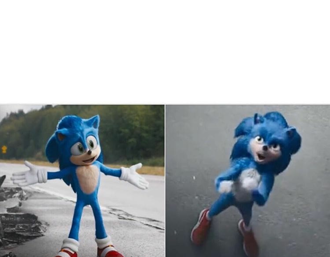 Sonic Blank Meme Template