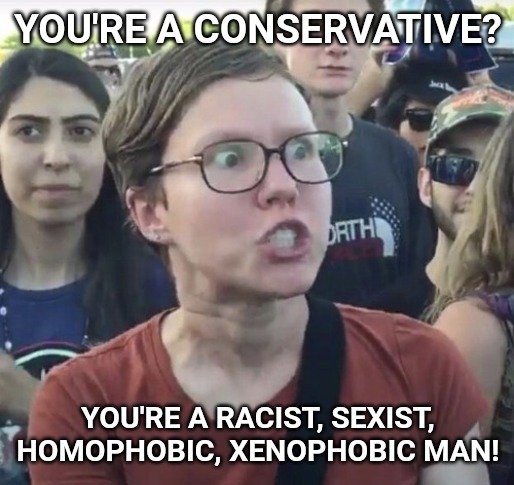 You forgot "religious freak." | YOU'RE A CONSERVATIVE? YOU'RE A RACIST, SEXIST, HOMOPHOBIC, XENOPHOBIC MAN! | image tagged in triggered feminist | made w/ Imgflip meme maker