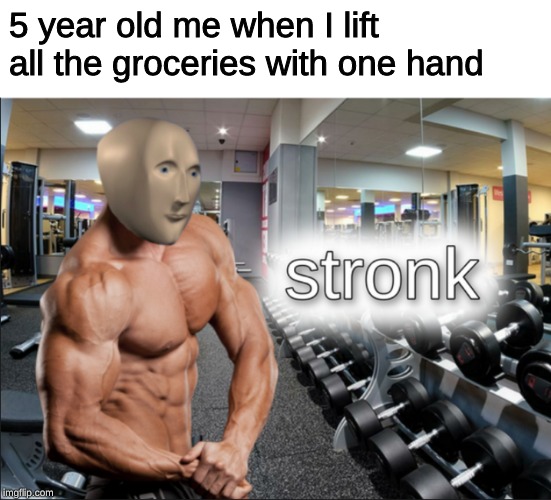 stronks | 5 year old me when I lift all the groceries with one hand | image tagged in stronks | made w/ Imgflip meme maker