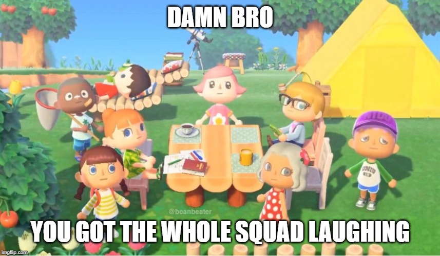 you're a real funny guy | DAMN BRO; YOU GOT THE WHOLE SQUAD LAUGHING | image tagged in animal crossing | made w/ Imgflip meme maker