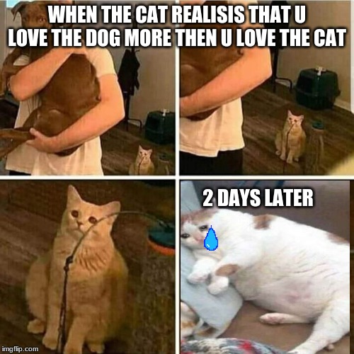 Sad Cat Holding Dog | WHEN THE CAT REALISIS THAT U LOVE THE DOG MORE THEN U LOVE THE CAT; 2 DAYS LATER | image tagged in sad cat holding dog | made w/ Imgflip meme maker