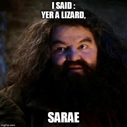 You're a wizard harry | I SAID :
YER A LIZARD, SARAE | image tagged in you're a wizard harry | made w/ Imgflip meme maker