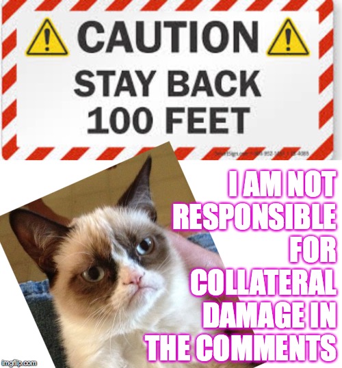 This is here for legal protection really.  I'm sure you'll do what you like  ( : | I AM NOT
RESPONSIBLE FOR COLLATERAL DAMAGE IN THE COMMENTS | image tagged in memes,grumpy cat,caution,legal | made w/ Imgflip meme maker