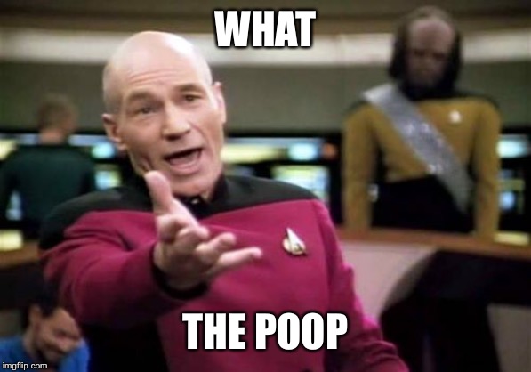 Picard Wtf Meme | WHAT; THE POOP | image tagged in memes,picard wtf | made w/ Imgflip meme maker