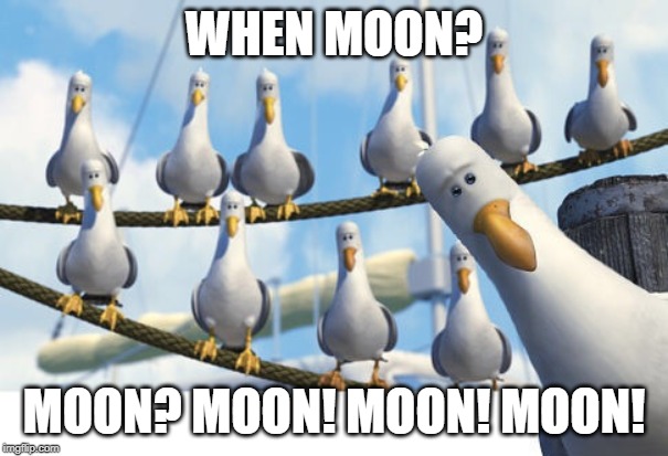 Finding Nemo Seagulls | WHEN MOON? MOON? MOON! MOON! MOON! | image tagged in finding nemo seagulls | made w/ Imgflip meme maker