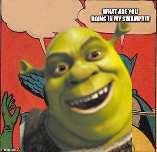 WHAT ARE YOU DOING IN MY SWAMP!!!!! | image tagged in memes,shrek,funny,batman slapping robin,shrek slapping robin | made w/ Imgflip meme maker