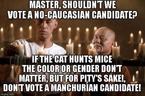 kung fu grasshopper | MASTER, SHOULDN'T WE VOTE A NO-CAUCASIAN CANDIDATE? IF THE CAT HUNTS MICE THE COLOR OR GENDER DON'T MATTER, BUT FOR PITY'S SAKE!, DON'T VOTE A MANCHURIAN CANDIDATE! | image tagged in kung fu grasshopper | made w/ Imgflip meme maker