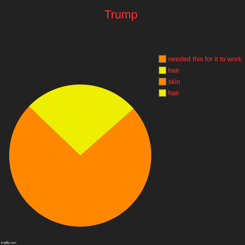 Trump | hair, skin, hair, needed this for it to work | image tagged in charts,pie charts | made w/ Imgflip chart maker