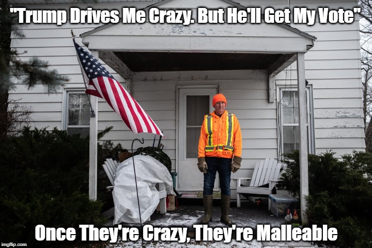 "Trump Drives Me Crazy. But He'll Get My Vote" Once They're Crazy, They're Malleable | made w/ Imgflip meme maker