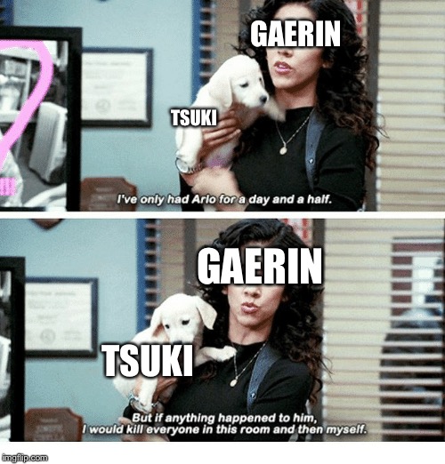i’ve only had arlo for a day and a half | GAERIN; TSUKI; GAERIN; TSUKI | image tagged in ive only had arlo for a day and a half | made w/ Imgflip meme maker