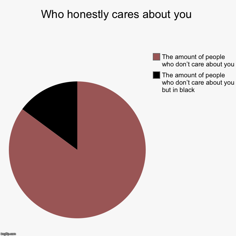 Who honestly cares about you | The amount of people who don’t care about you but in black, The amount of people who don’t care about you | image tagged in charts,pie charts | made w/ Imgflip chart maker