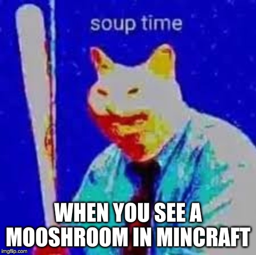 soup time cat Imgflip