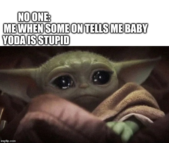 NO ONE:                                                    
ME WHEN SOME ON TELLS ME BABY         
YODA IS STUPID | image tagged in blank white template,crying baby yoda | made w/ Imgflip meme maker