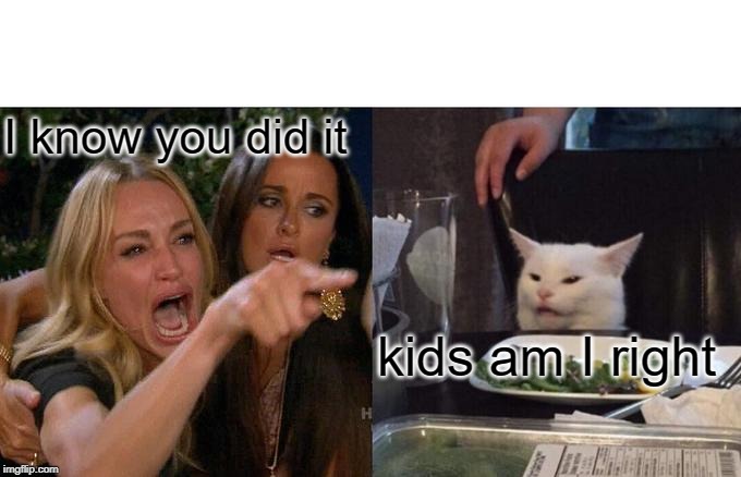 Woman Yelling At Cat | I know you did it; kids am I right | image tagged in memes,woman yelling at cat | made w/ Imgflip meme maker