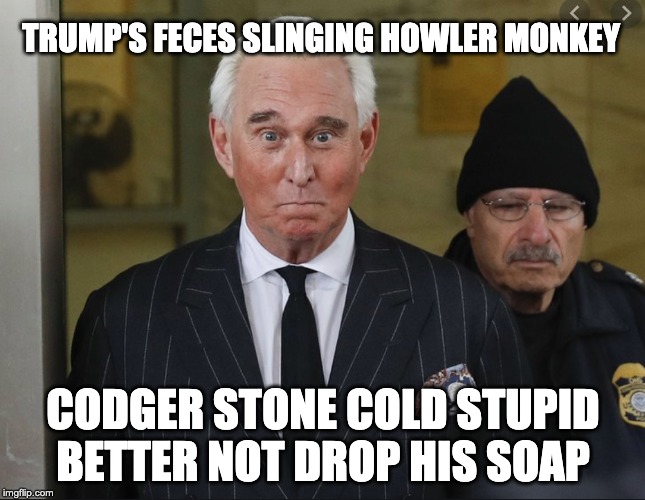 TRUMP'S FECES SLINGING HOWLER MONKEY; CODGER STONE COLD STUPID BETTER NOT DROP HIS SOAP | image tagged in roger stone,roger stone for prison,prison,roger rabid,rico suave roger,stone cold stupid | made w/ Imgflip meme maker