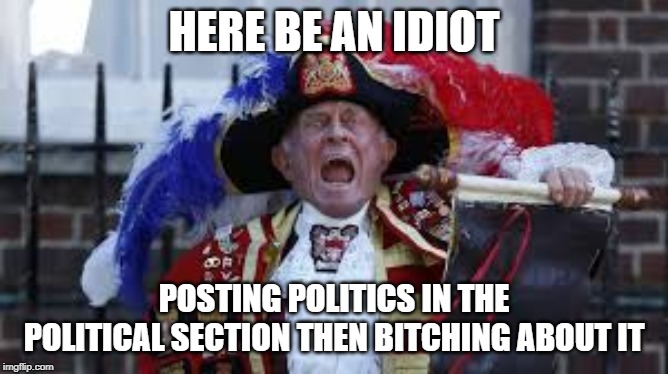 Here Ye | HERE BE AN IDIOT POSTING POLITICS IN THE POLITICAL SECTION THEN B**CHING ABOUT IT | image tagged in here ye | made w/ Imgflip meme maker