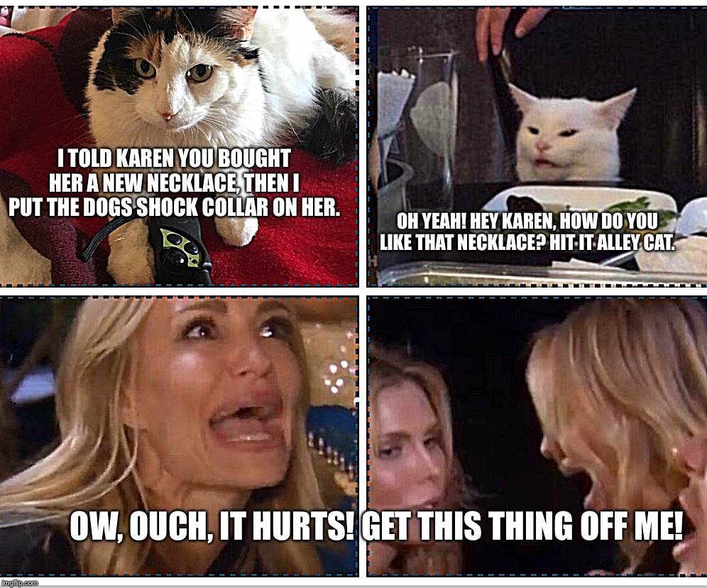 I TOLD KAREN YOU BOUGHT HER A NEW NECKLACE, THEN I PUT THE DOGS SHOCK COLLAR ON HER. OH YEAH! HEY KAREN, HOW DO YOU LIKE THAT NECKLACE? HIT IT ALLEY CAT. OW, OUCH, IT HURTS! GET THIS THING OFF ME! | image tagged in woman yelling at cat | made w/ Imgflip meme maker