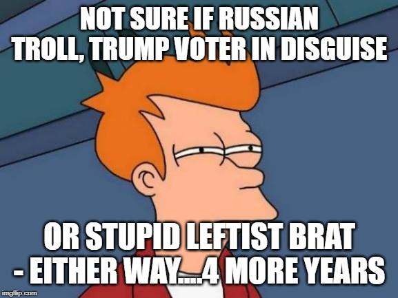 Not sure if Russian Troll but 4 more years | image tagged in russian troll,4 more years,anti trump meme,non voter,third party | made w/ Imgflip meme maker