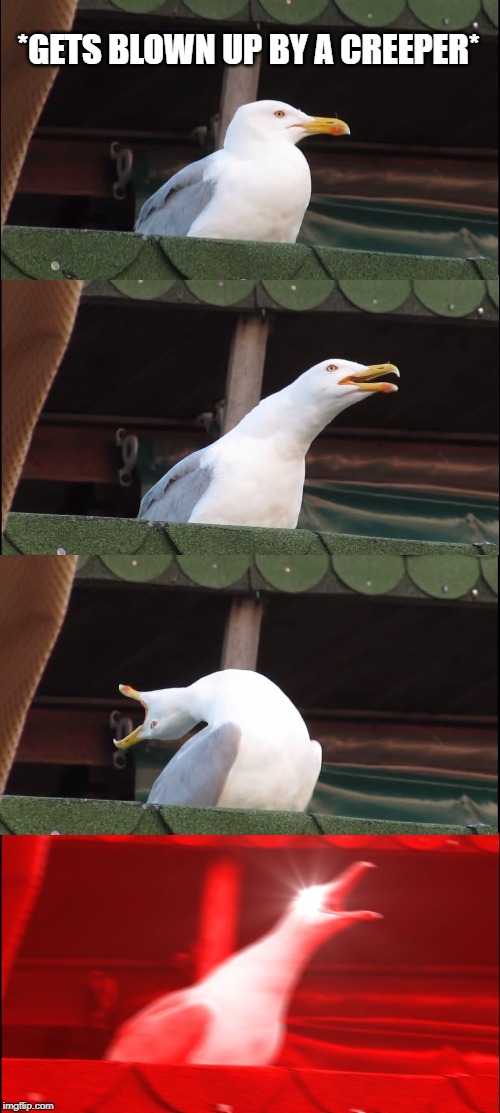 Inhaling Seagull | *GETS BLOWN UP BY A CREEPER* | image tagged in memes,inhaling seagull | made w/ Imgflip meme maker