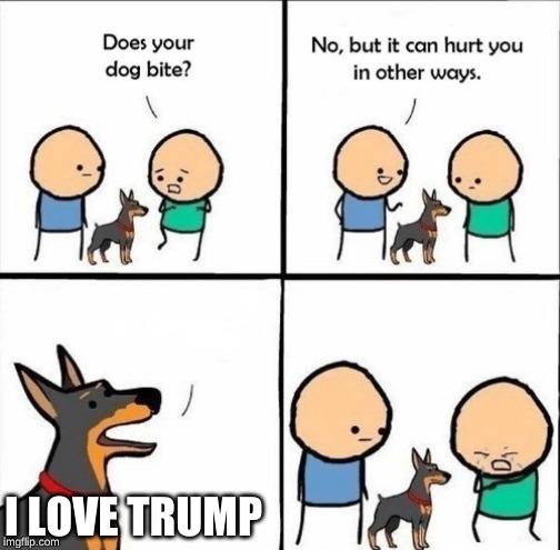My dog is a trump fan?! | I LOVE TRUMP | image tagged in does your dog bite | made w/ Imgflip meme maker