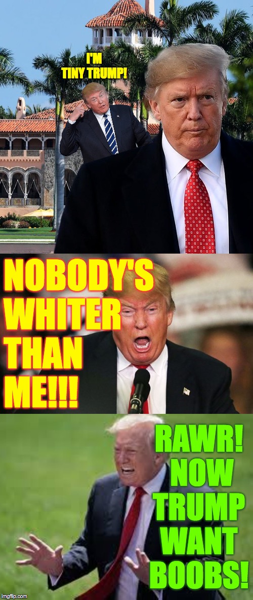 There but for the grace of God  ( : | I'M TINY TRUMP! NOBODY'S
WHITER
THAN
ME!!! RAWR!  NOW TRUMP WANT BOOBS! | image tagged in memes,tiny trump,boobs,very white of you | made w/ Imgflip meme maker