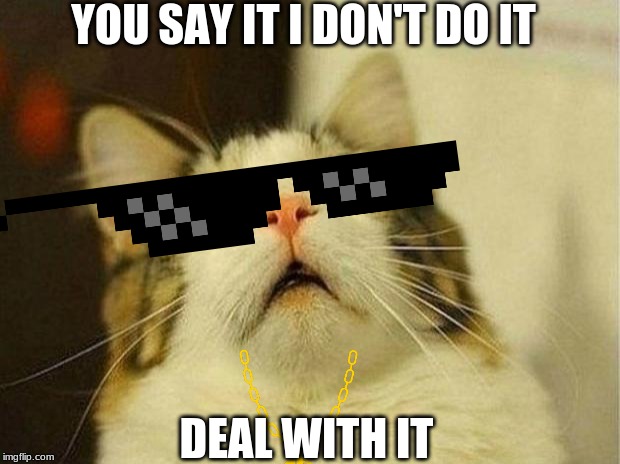 Scared Cat Meme | YOU SAY IT I DON'T DO IT; DEAL WITH IT | image tagged in memes,scared cat | made w/ Imgflip meme maker